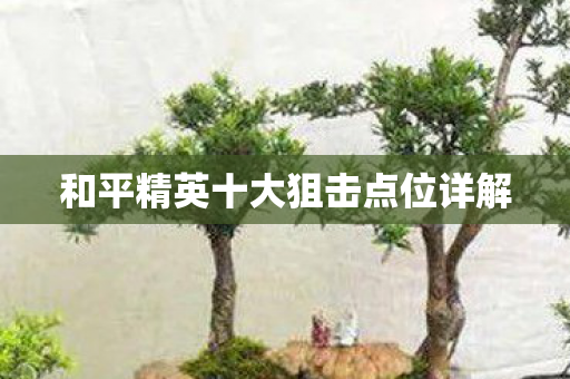 和平精英十大狙击点位详解图片