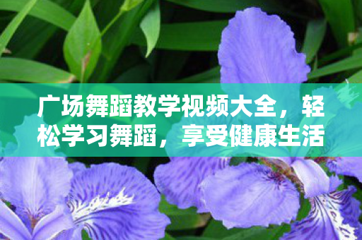 广场舞蹈教学视频大全图片