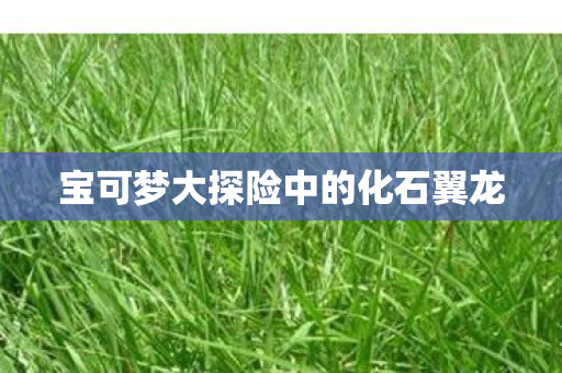 宝可梦大探险中的化石翼龙图片