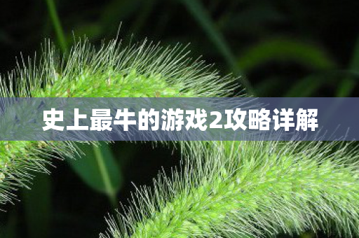 史上最牛的游戏2攻略详解图片
