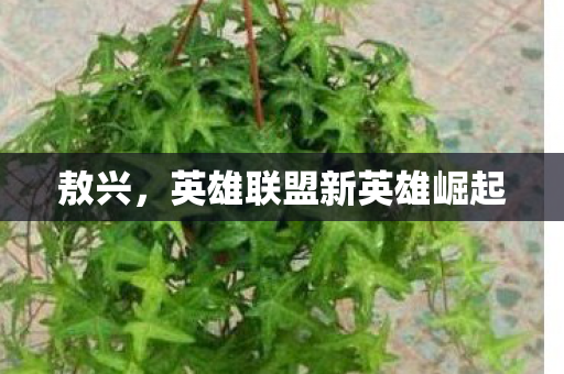 英雄联盟新英雄崛起图片