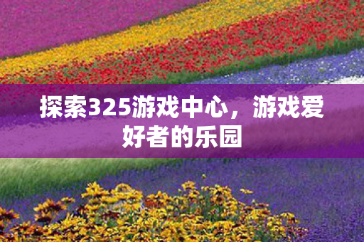 探索325游戏中心图片