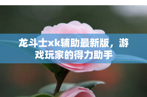 龙斗士xk辅助最新版图片