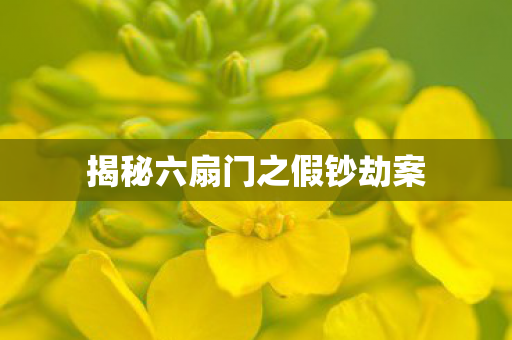 揭秘六扇门之假钞劫案图片