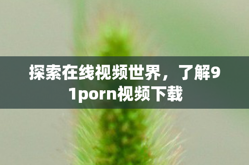 了解91porn视频下载图片