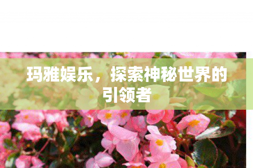 探索神秘世界的引领者图片
