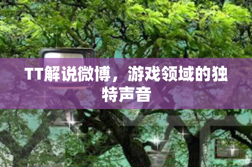 游戏领域的独特声音图片