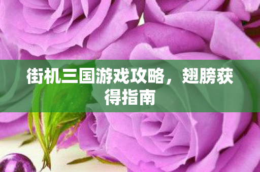 街机三国游戏攻略图片