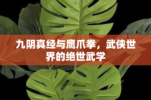 武侠世界的绝世武学图片