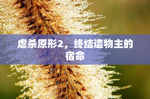 终结造物主的宿命图片
