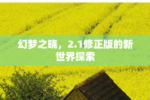 1修正版的新世界探索图片