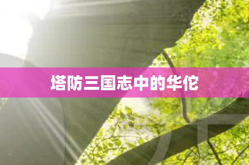塔防三国志中的华佗图片