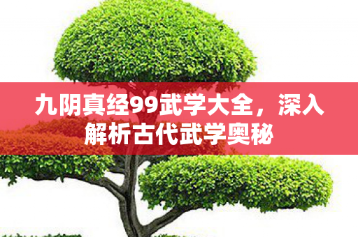 九阴真经99武学大全图片