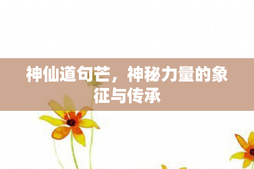 神秘力量的象征与传承图片