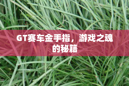 GT赛车金手指图片