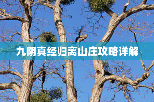 九阴真经归离山庄攻略详解图片