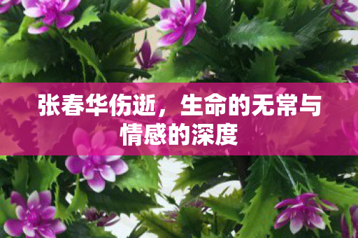 生命的无常与情感的深度图片