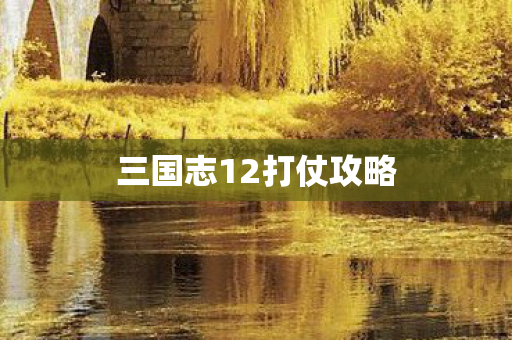 三国志12打仗攻略图片