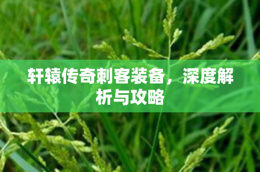 轩辕传奇刺客装备图片
