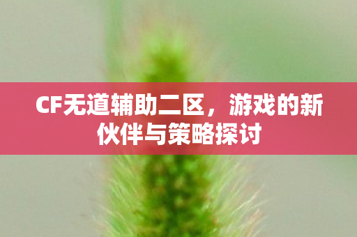 游戏的新伙伴与策略探讨图片