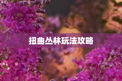 扭曲丛林玩法攻略图片