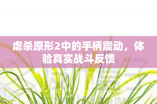 虐杀原形2中的手柄震动图片