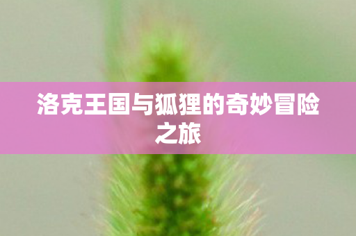 洛克王国与狐狸的奇妙冒险之旅图片
