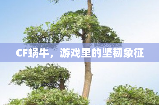 游戏里的坚韧象征图片