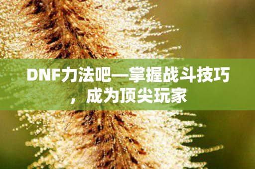 DNF力法吧图片