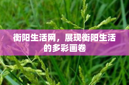 展现衡阳生活的多彩画卷图片