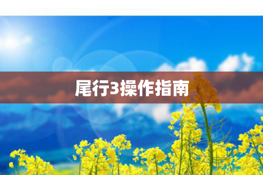 尾行3操作指南图片