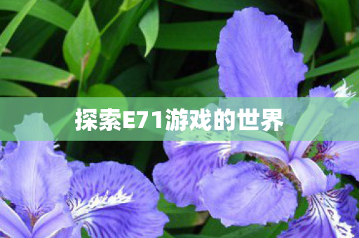 探索E71游戏的世界图片