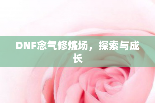 DNF念气修炼场图片