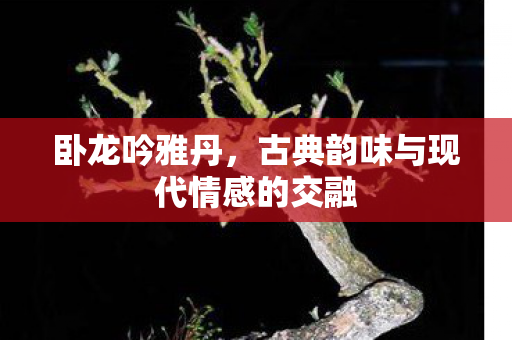 古典韵味与现代情感的交融图片