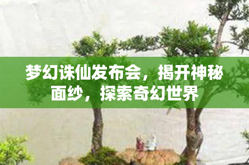 梦幻诛仙发布会图片