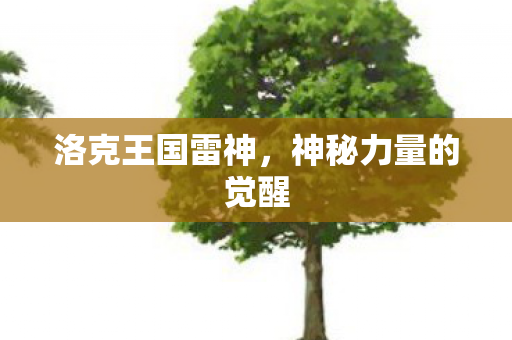 神秘力量的觉醒图片