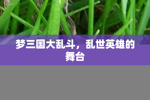 乱世英雄的舞台图片