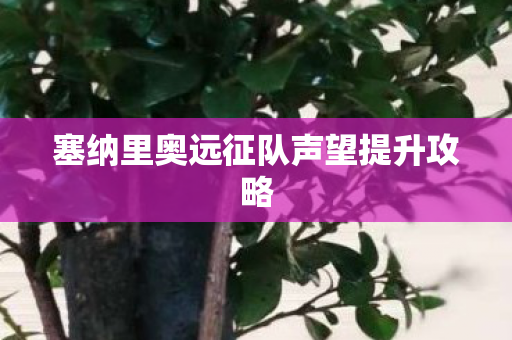 塞纳里奥远征队声望提升攻略图片