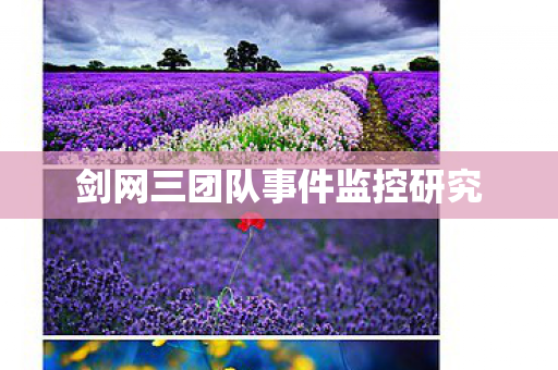 剑网三团队事件监控研究图片