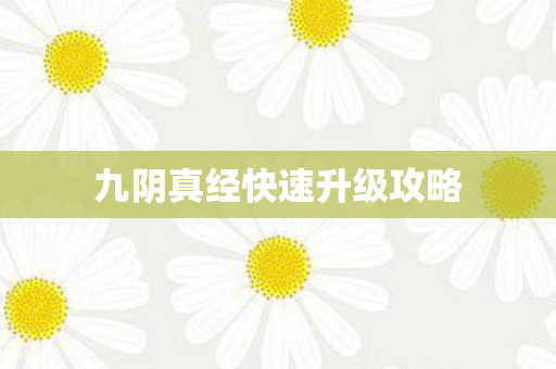 九阴真经快速升级攻略图片