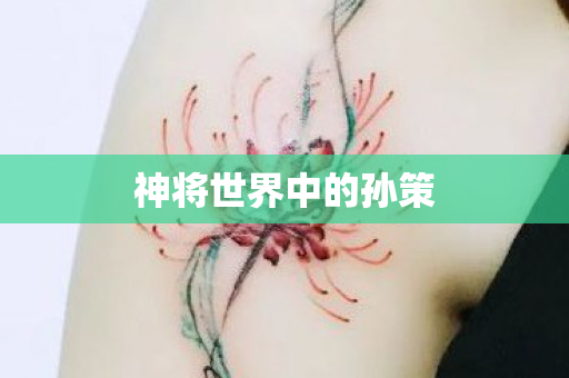 神将世界中的孙策图片