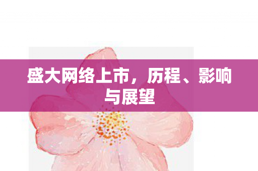 盛大网络上市图片