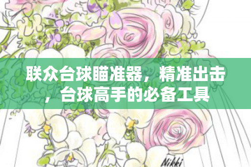 台球高手的必备工具图片
