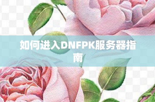 如何进入DNFPK服务器指南图片