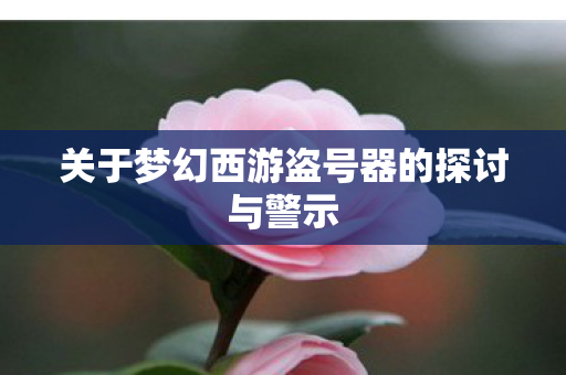 关于梦幻西游盗号器的探讨与警示图片