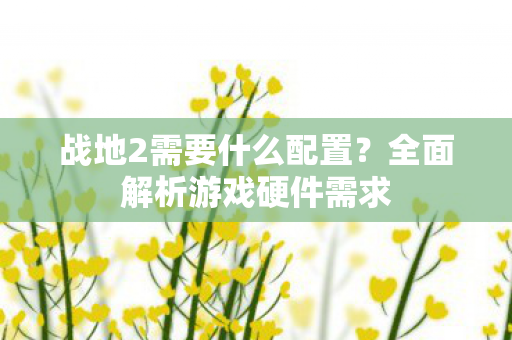 全面解析游戏硬件需求图片