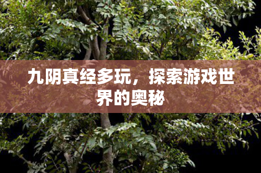 探索游戏世界的奥秘图片