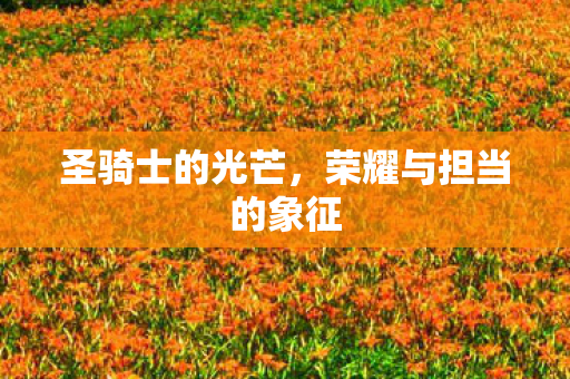 荣耀与担当的象征图片