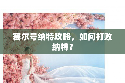 赛尔号纳特攻略图片