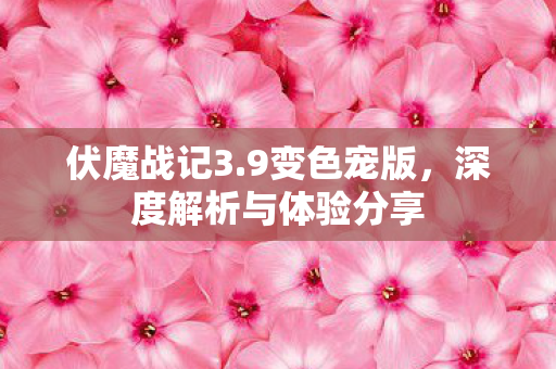 深度解析与体验分享图片